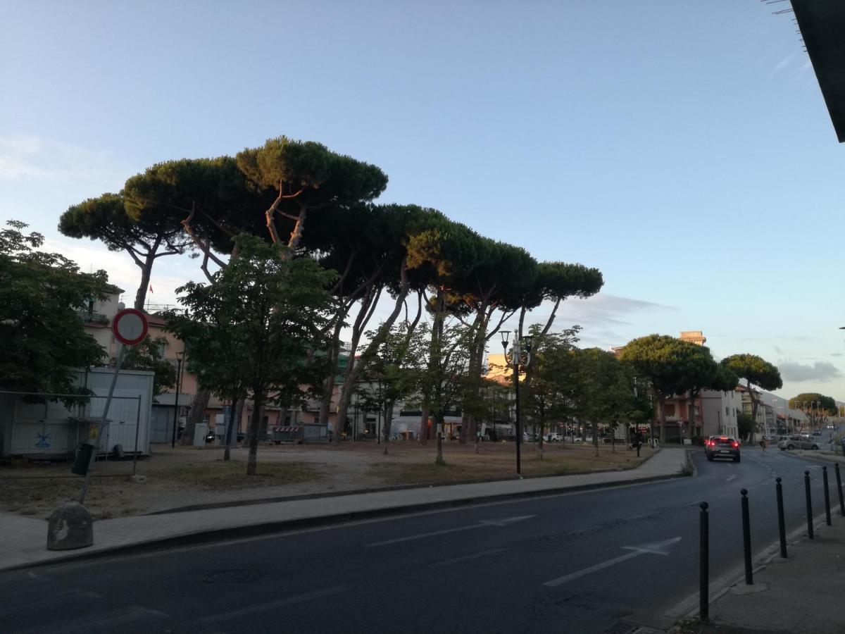 Apartament Torre Matilde Viareggio Zewnętrze zdjęcie